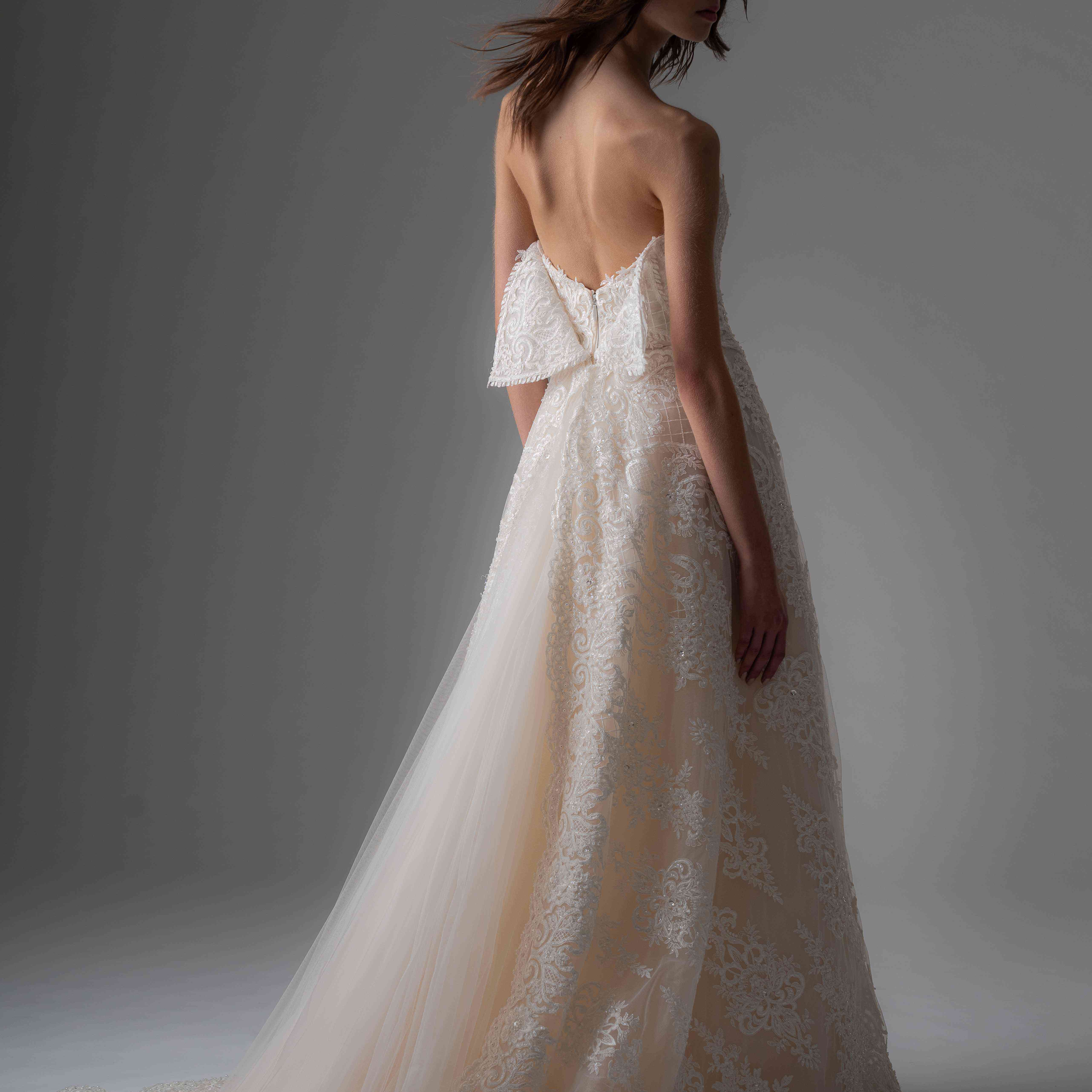 在露肩蕾丝薄纱和A字裙模型