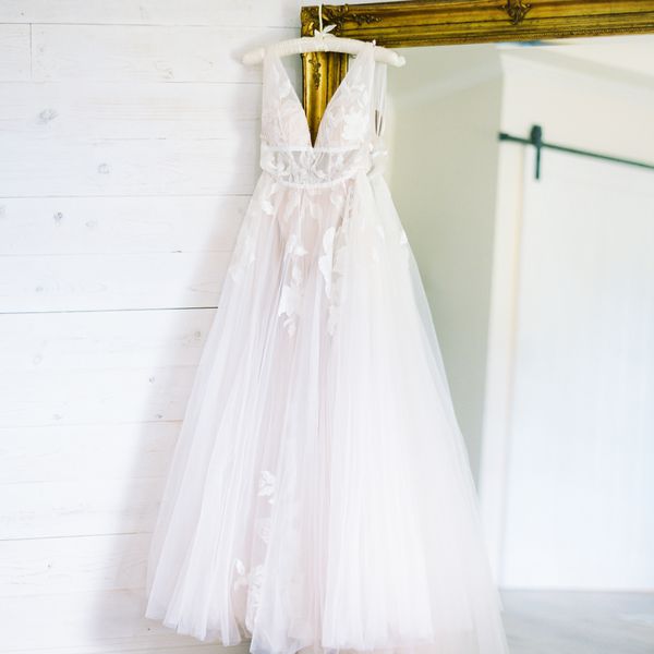 象牙白色的主场迎战