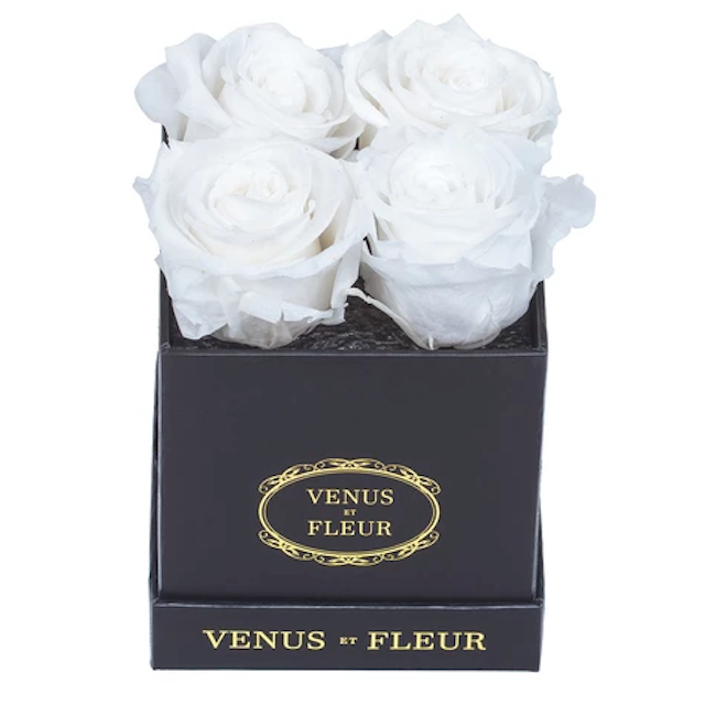 金星的Et芙蓉永恒玫瑰