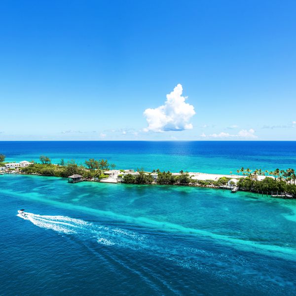 巴哈马群岛，加勒比海拿骚的棕榈树和翠绿的海水