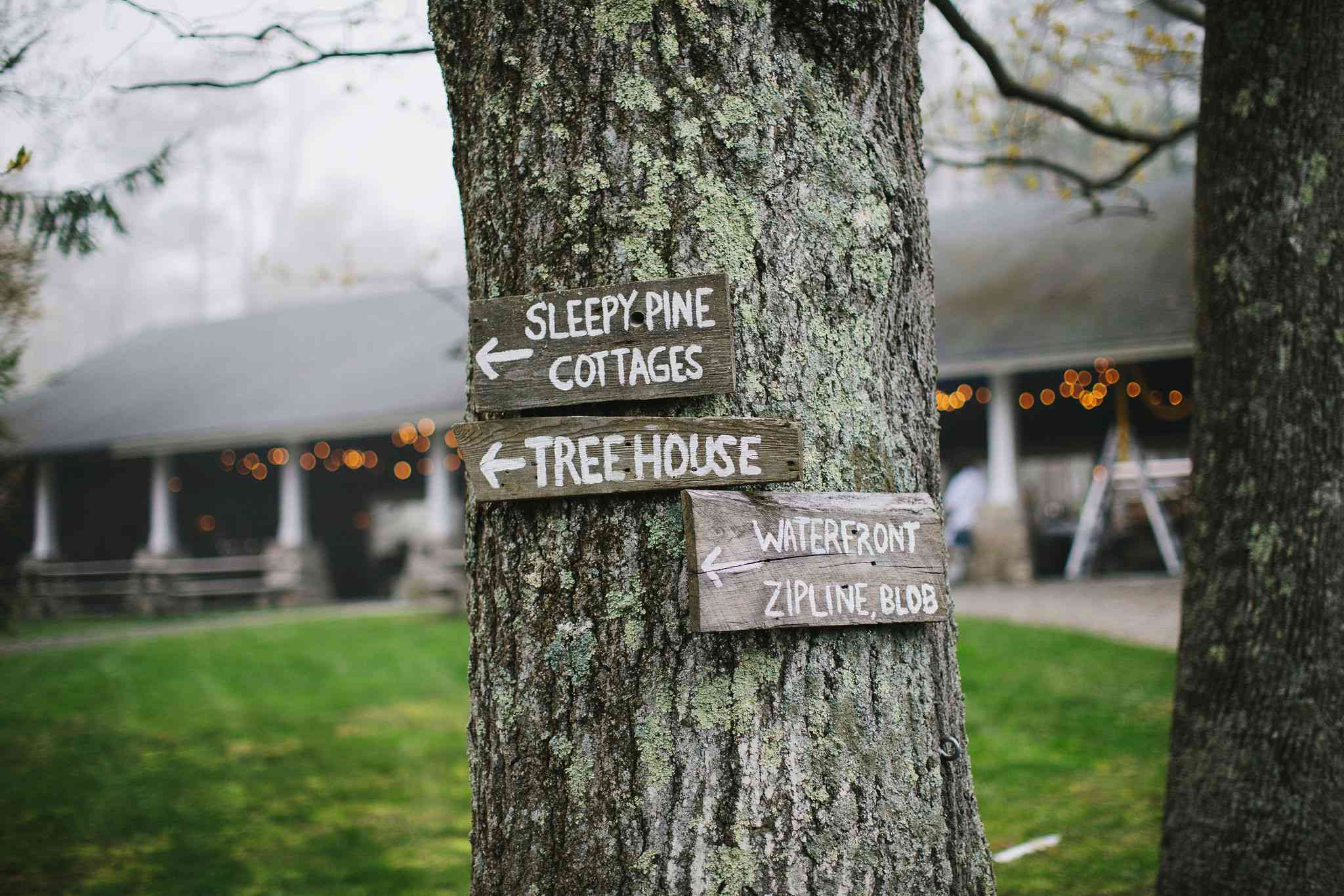 雪松湖地产标志细节