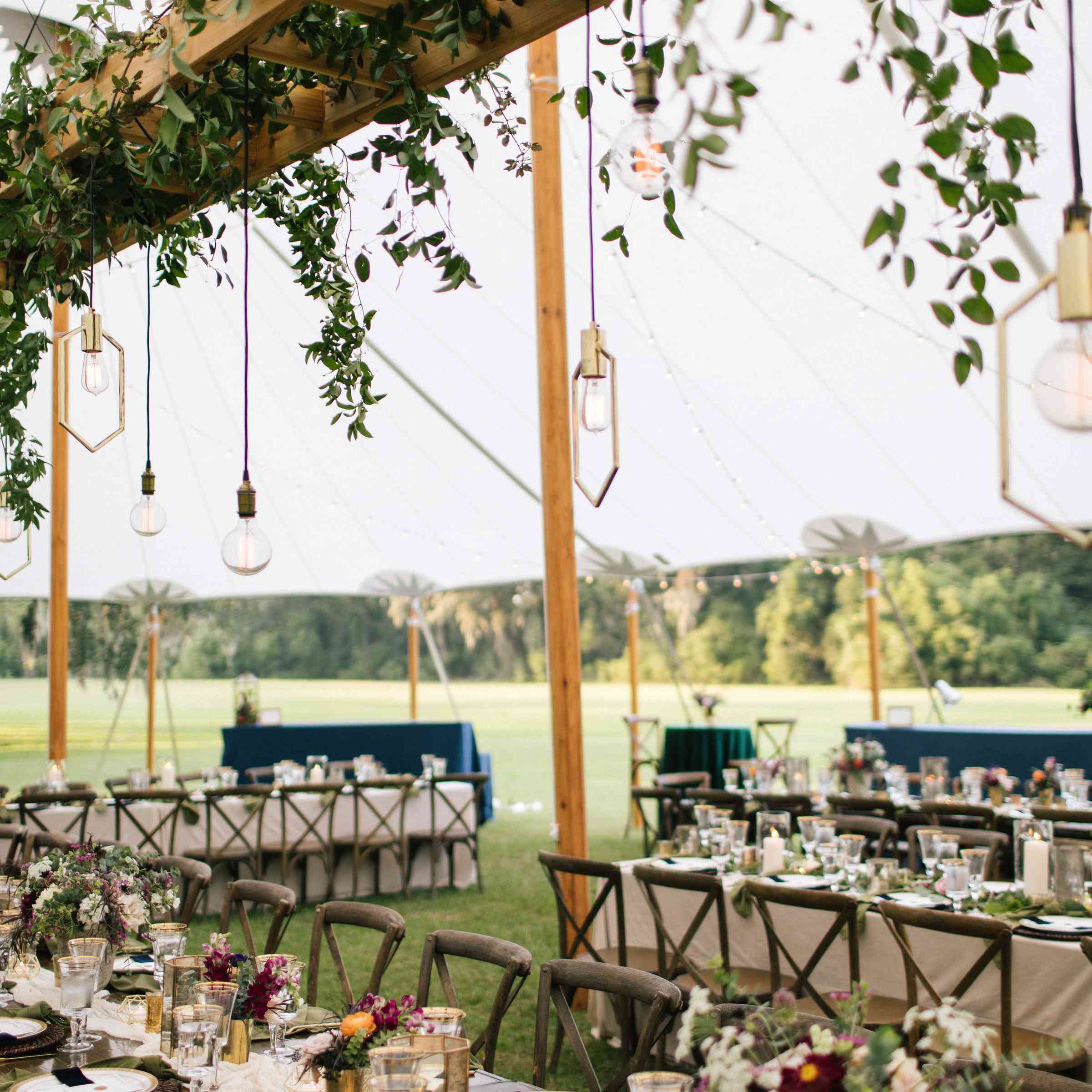 <p>婚礼接待处绿叶悬垂</p><br><br>