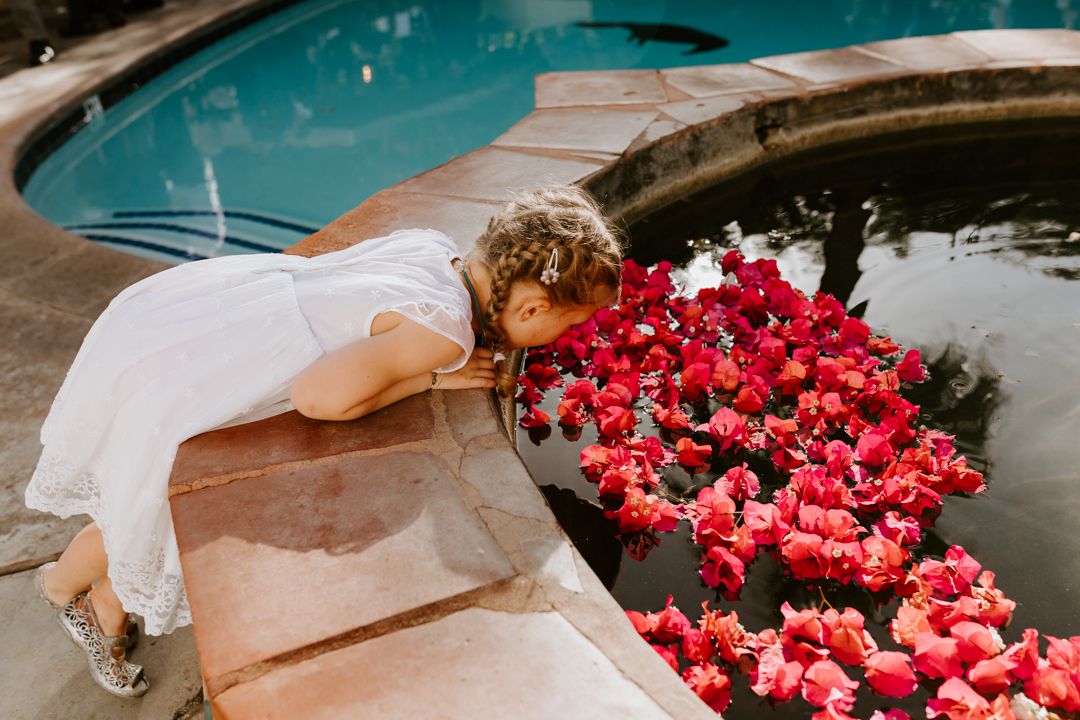 <P>花香和装饰喷泉</ P>搜索结果