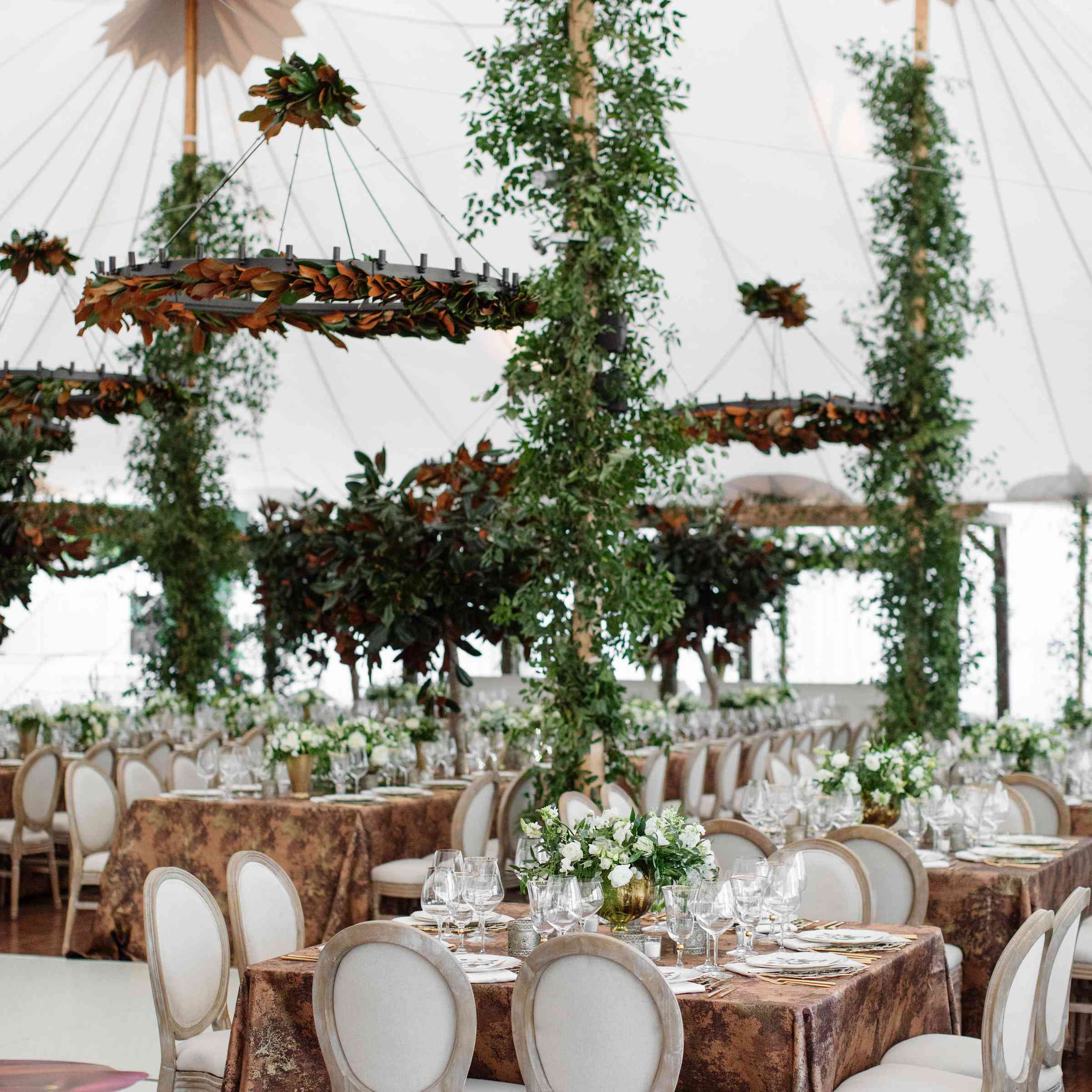 郁郁葱葱的草木覆盖着帐篷的柱子。