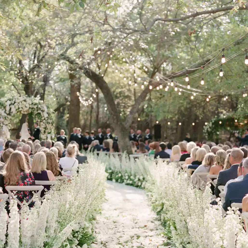 长茎花顺着过道