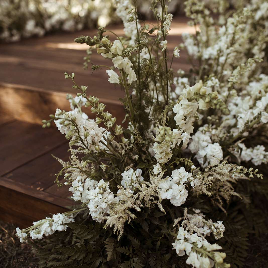 仪式的花”class=