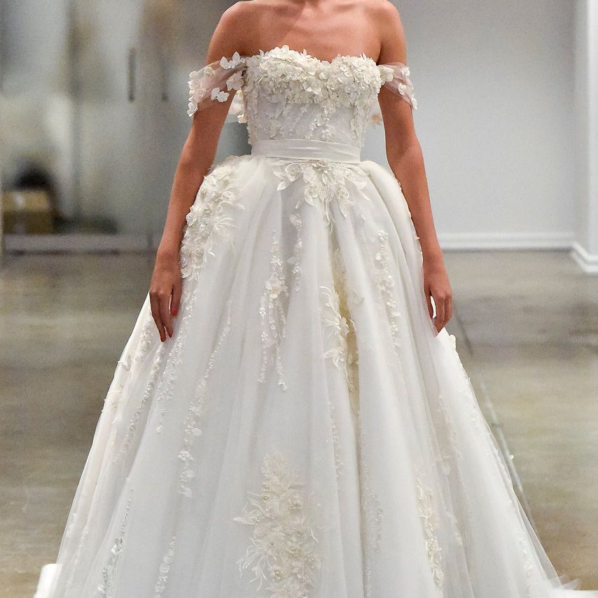 达尼密茨拉希场外的肩晚礼服