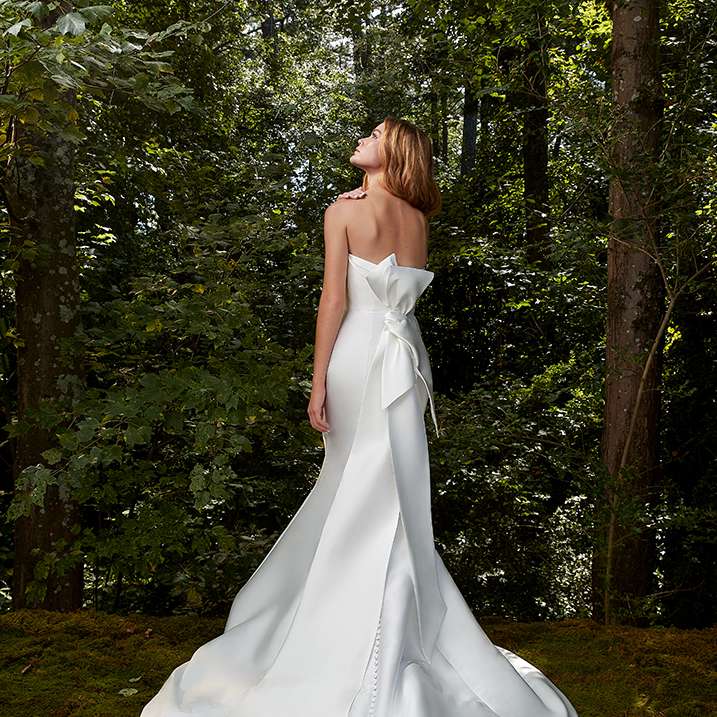 安妮·巴格斯回来了