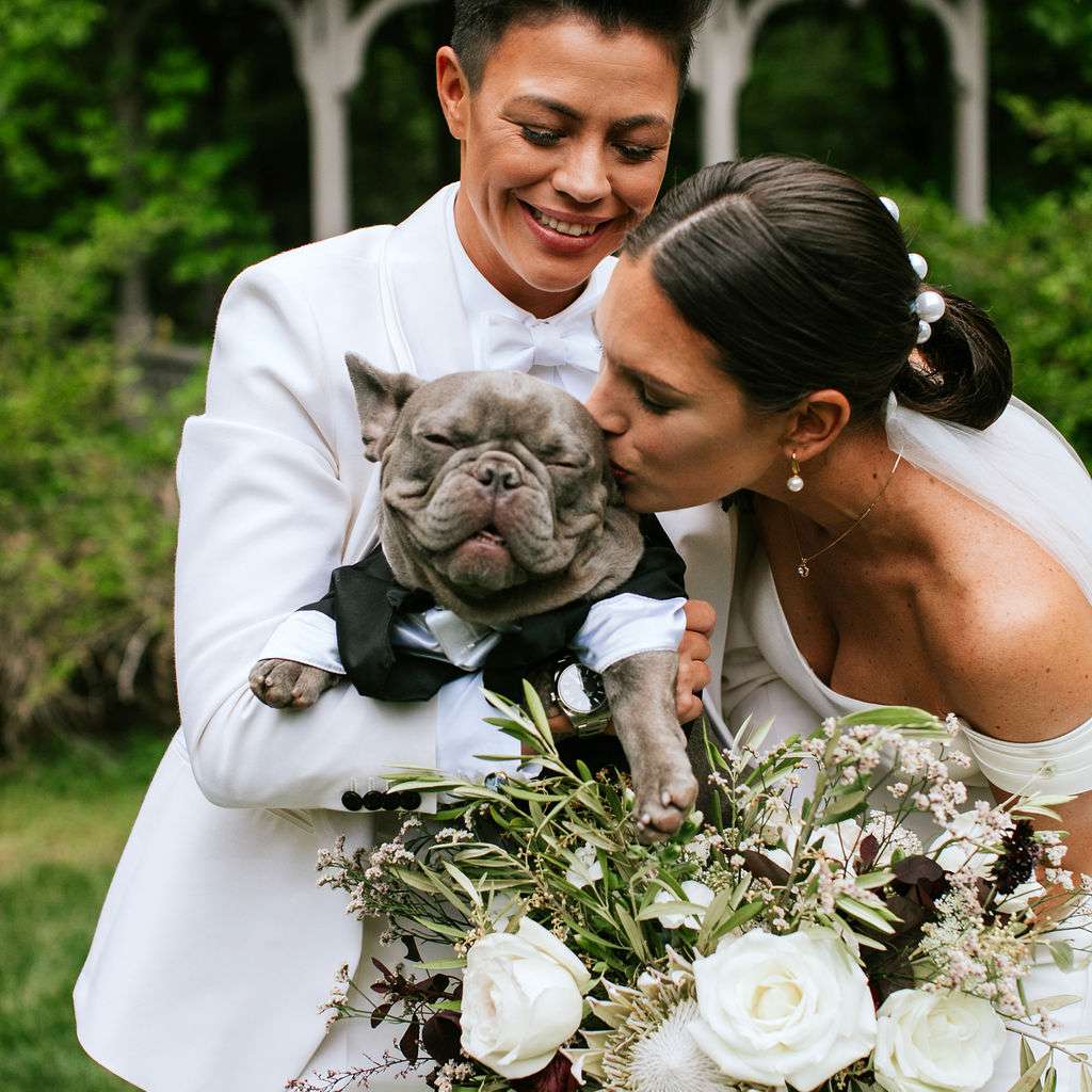 新娘和他们的狗奥托