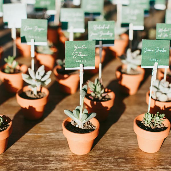 多汁的护送卡片