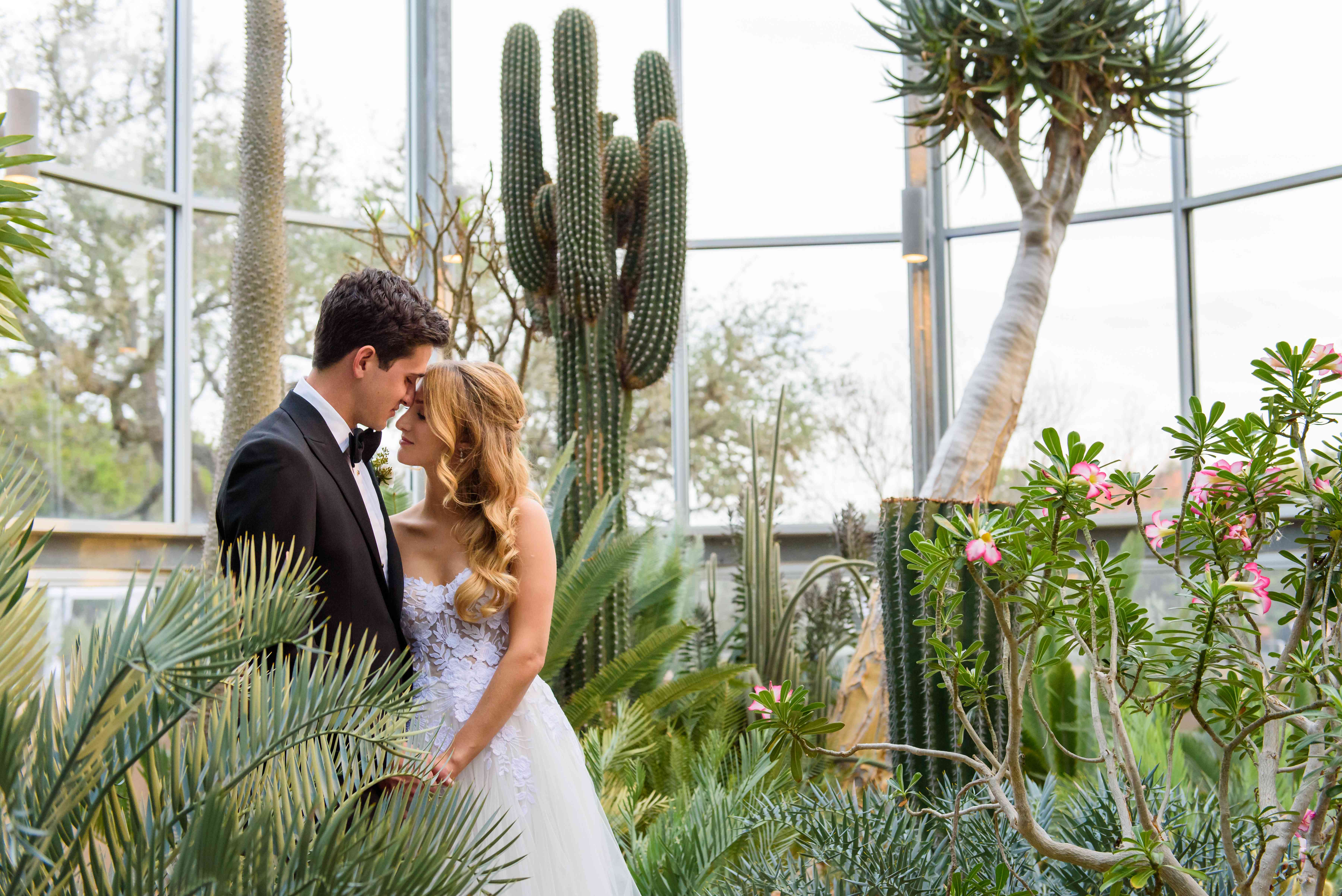 夫妇拥抱在他们的婚礼照片处漂流木在得克萨斯州的温室