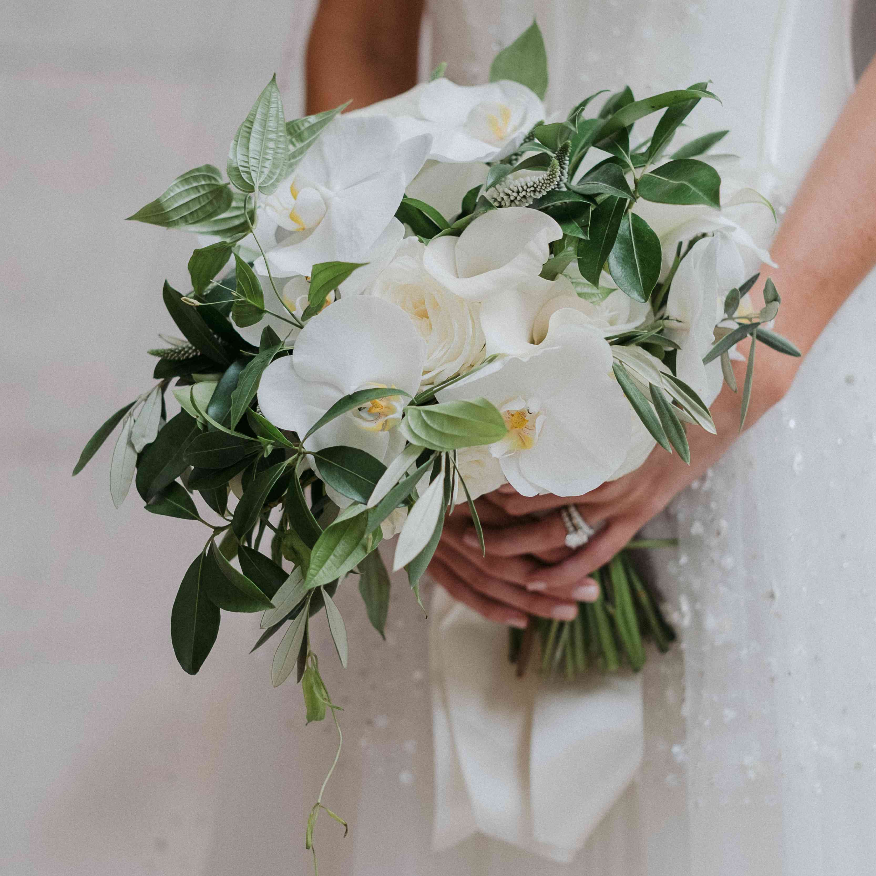 <p>白色花束</ p>