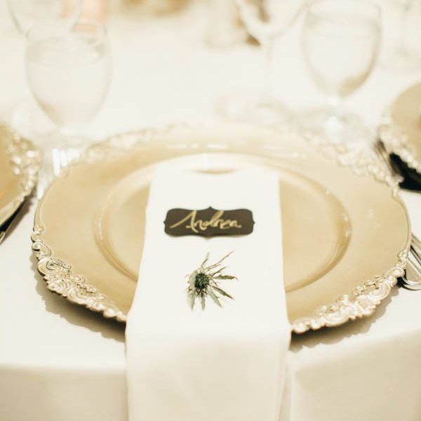 Peackock羽毛强调表设置