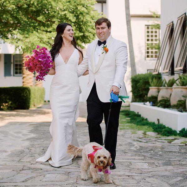 新娘和新郎与狗
