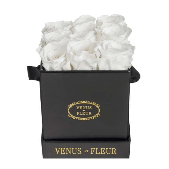 金星的Et芙蓉Lé迷你