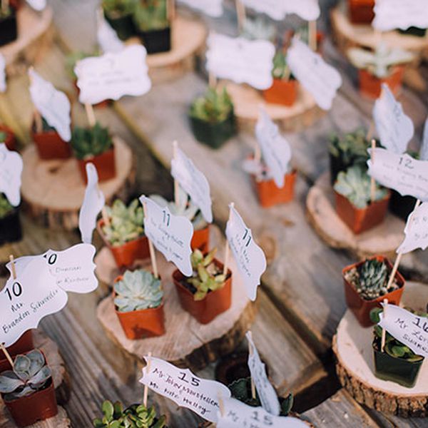 婚礼上多汁的伴游卡片