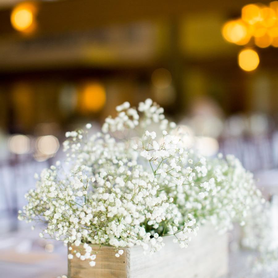 宝宝的呼吸婚礼焦点