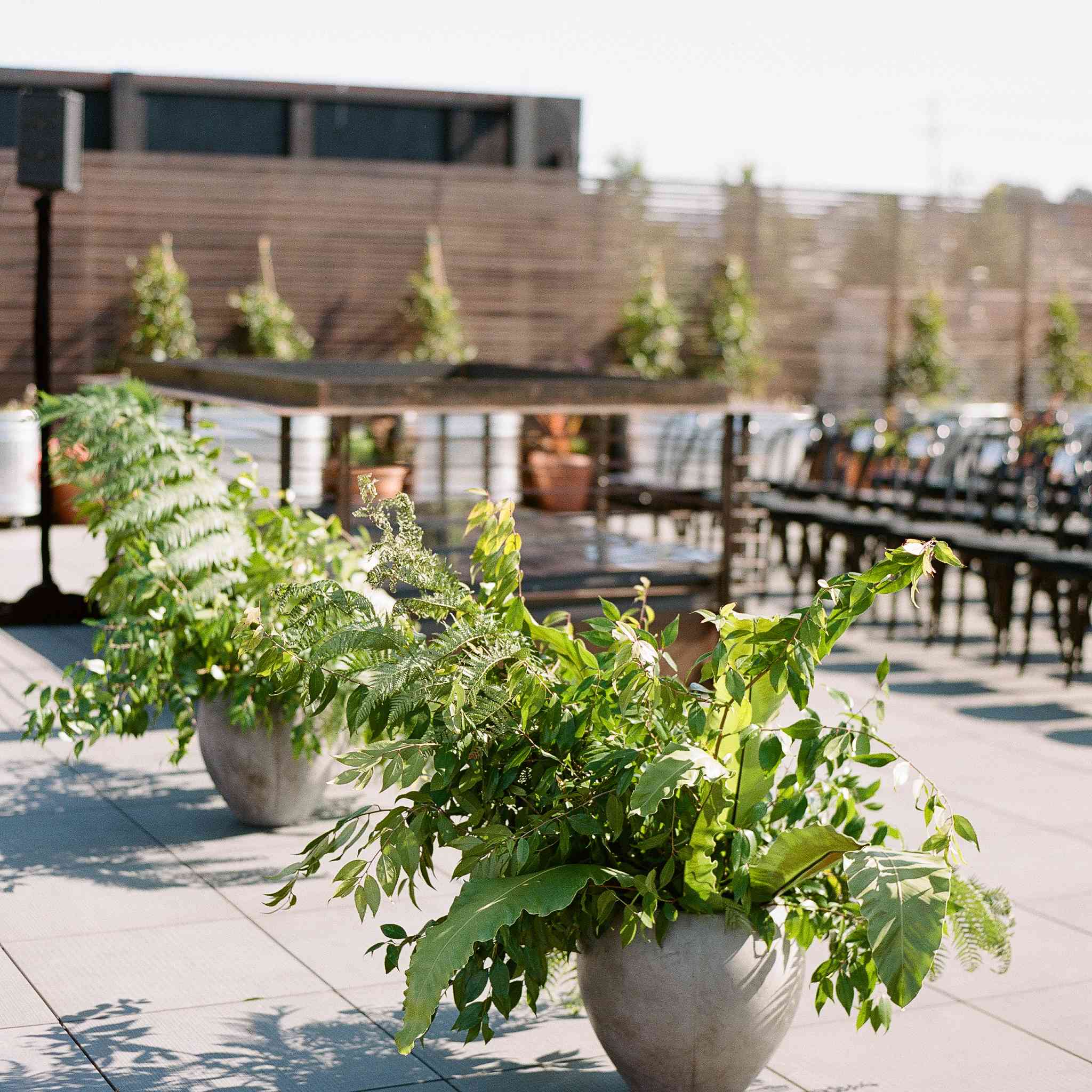 < p >插花风格花< / p > < br > < br >