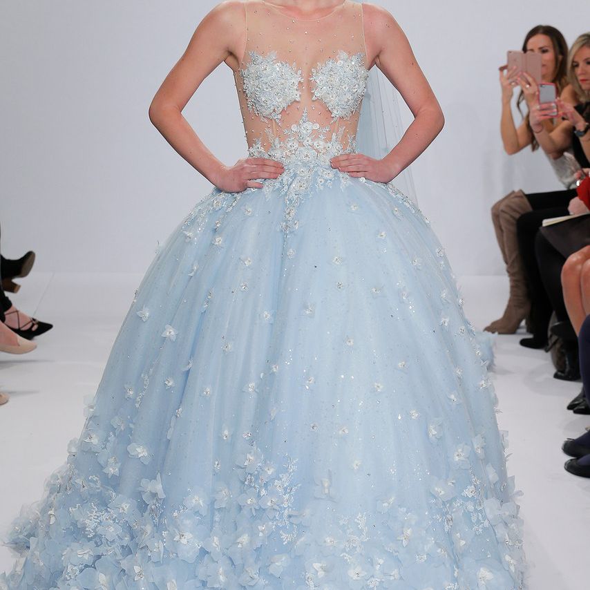 兰迪·芬利的柯菲德