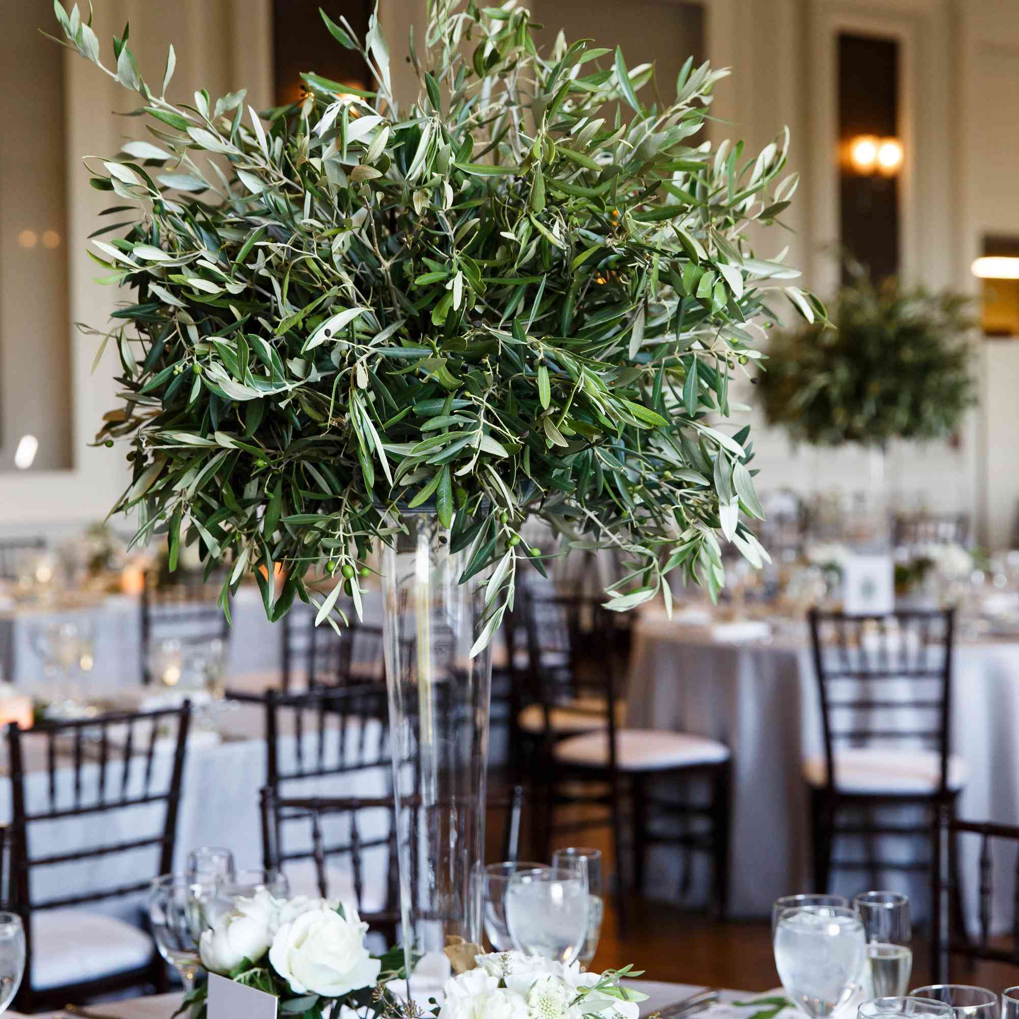 与绿色分支的核心