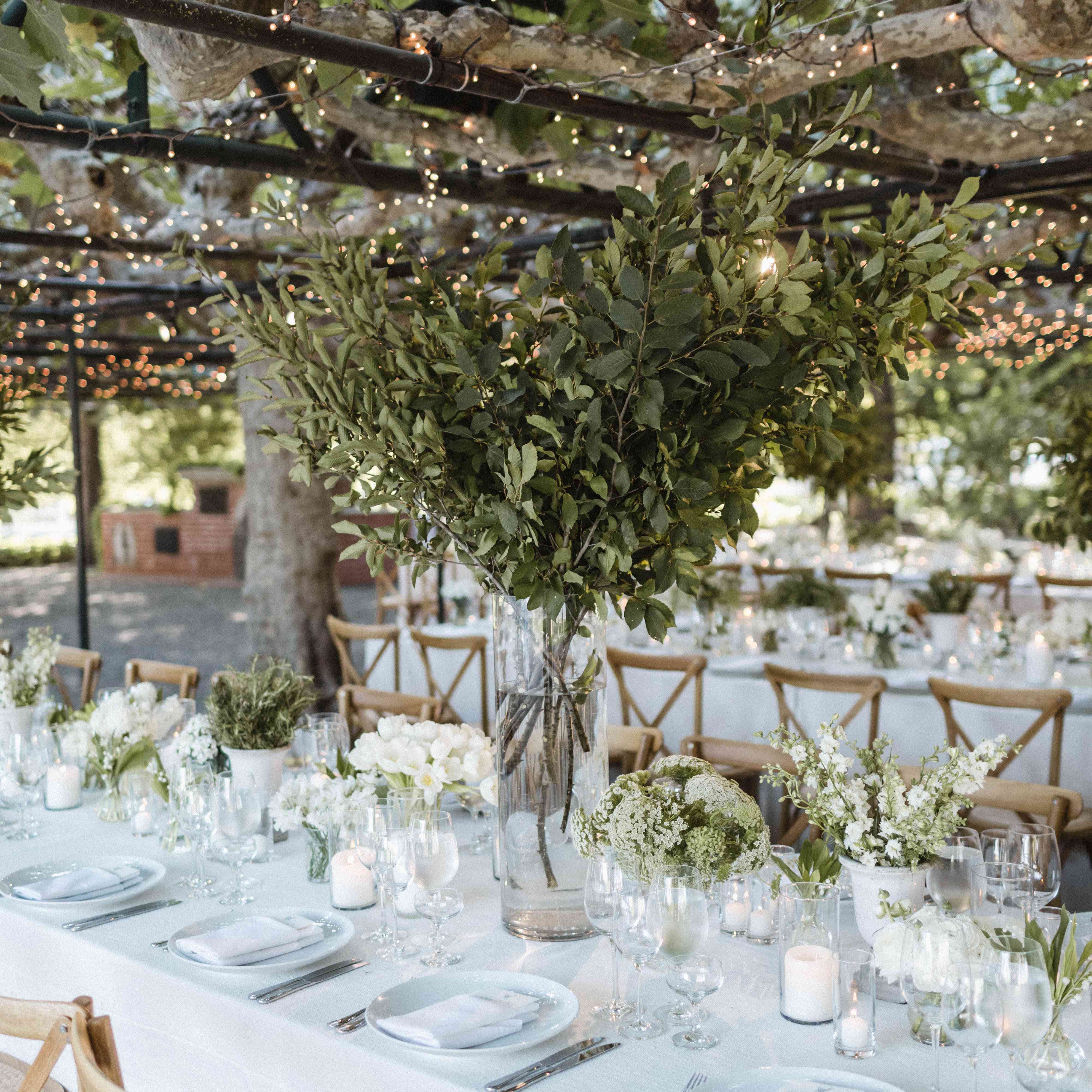 与灯串一个凉棚接待