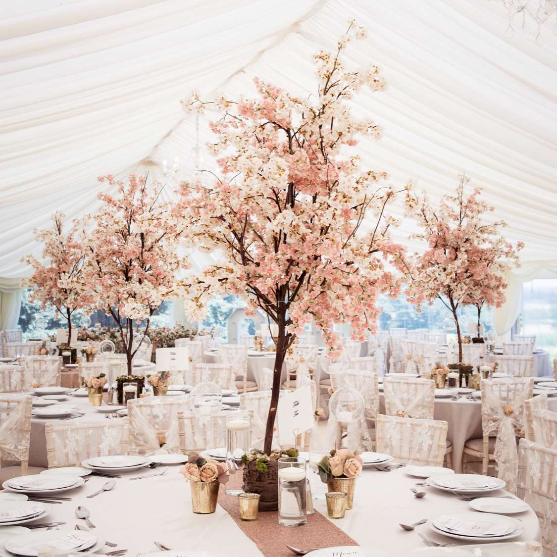 粉红色的花边核心