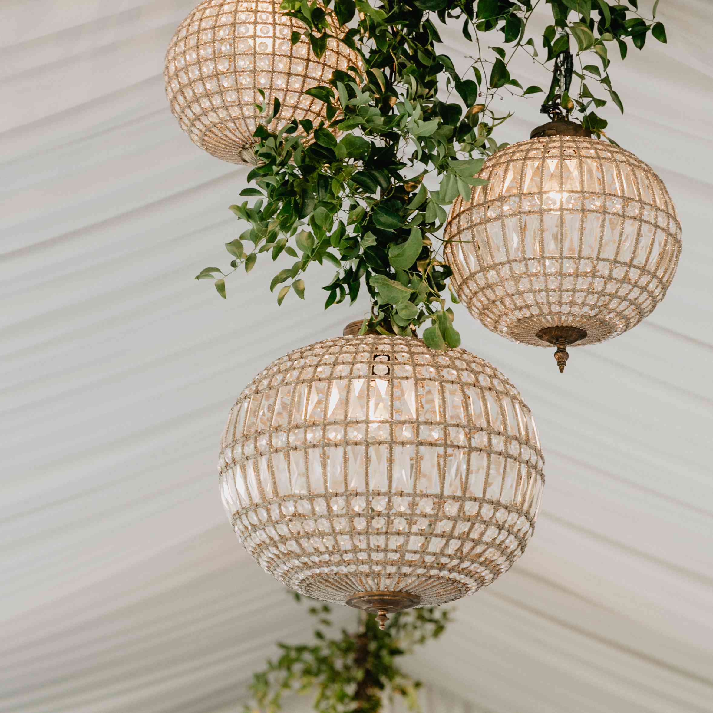 灯光与绿色植物