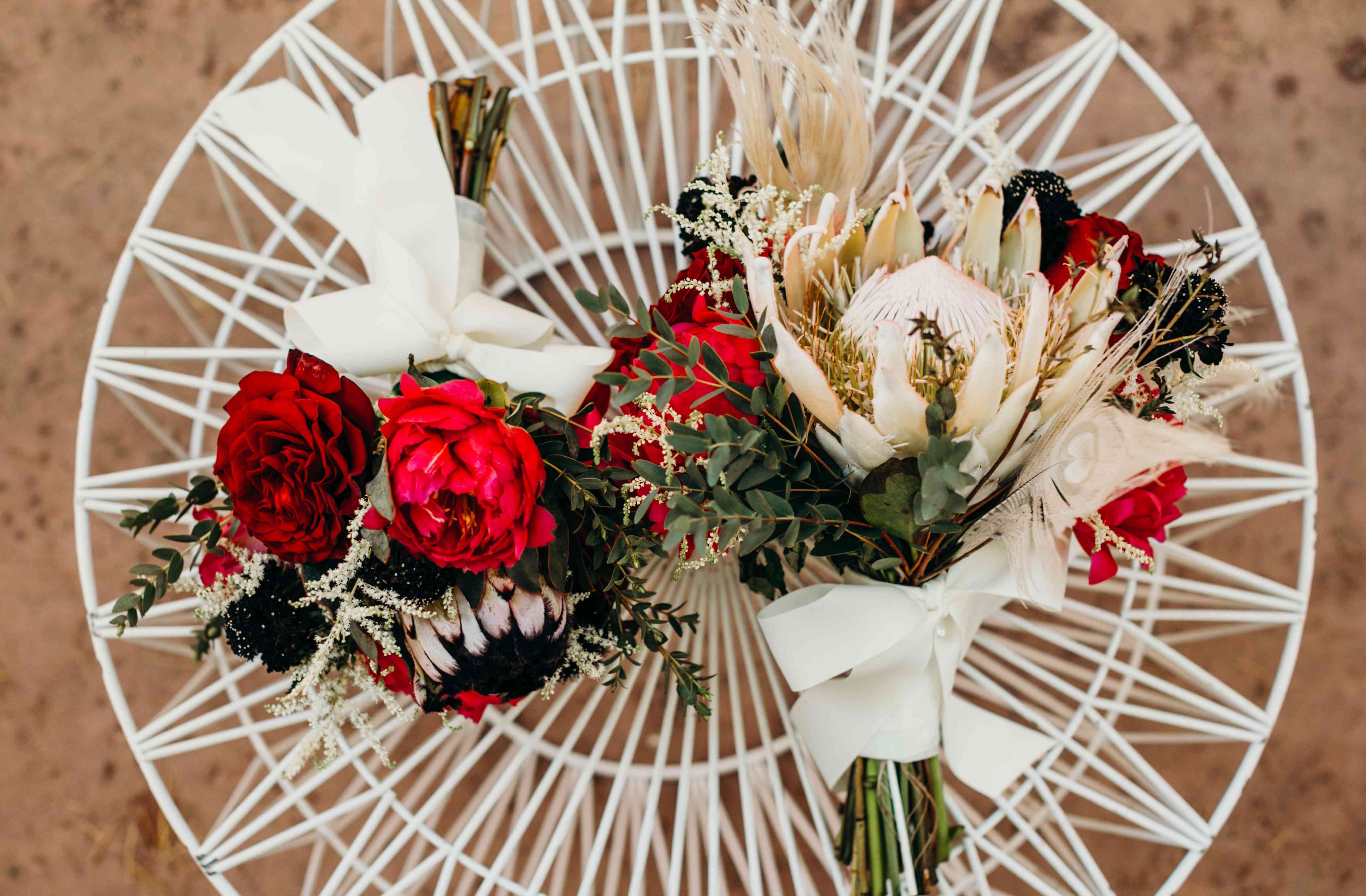 < p >山龙眼花束< / p > < br > < br >