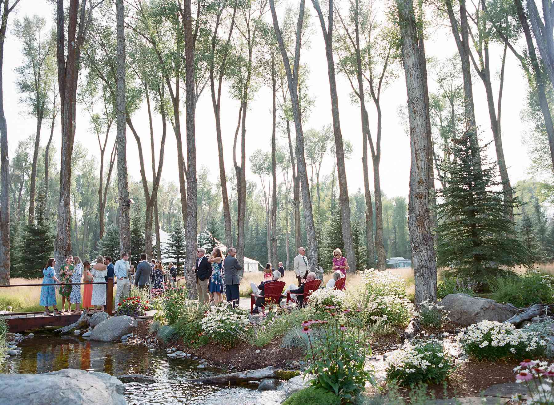 < p >鸡尾酒小时< / p > < br > < br >