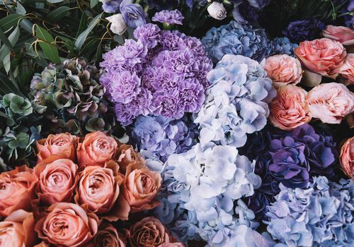 7月的花