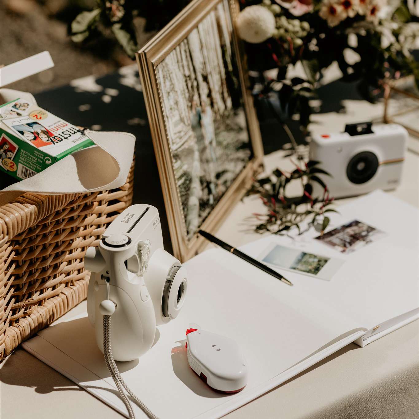 宝丽来的客人的书