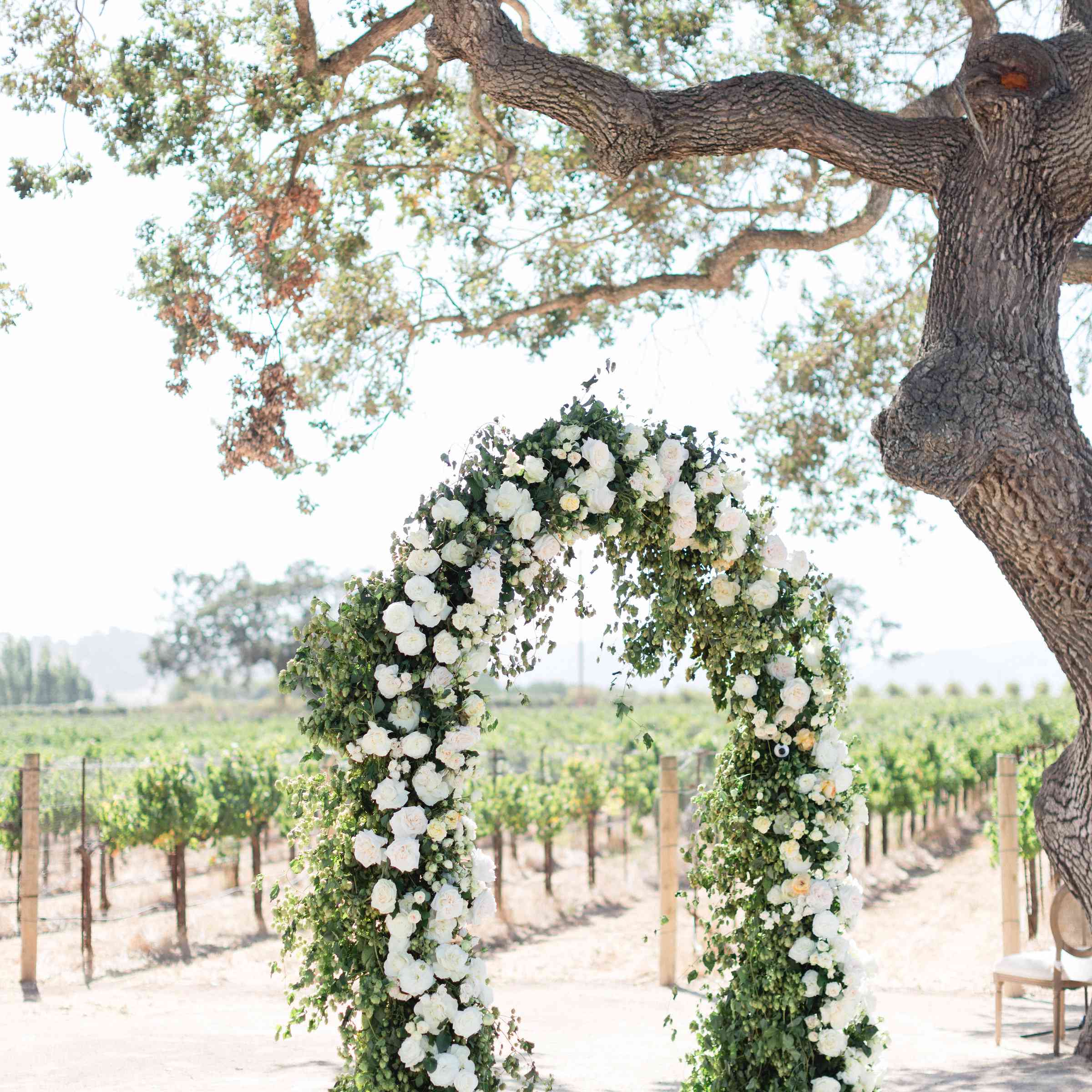 花卉仪式背景与白玫瑰