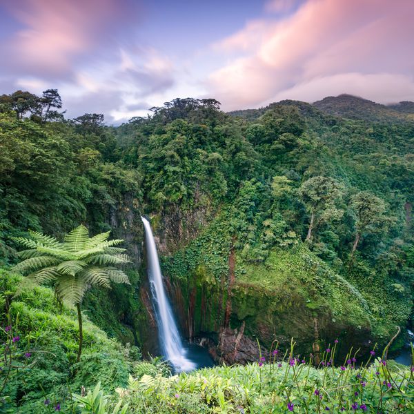 哥斯达黎加绿色森林中的瀑布