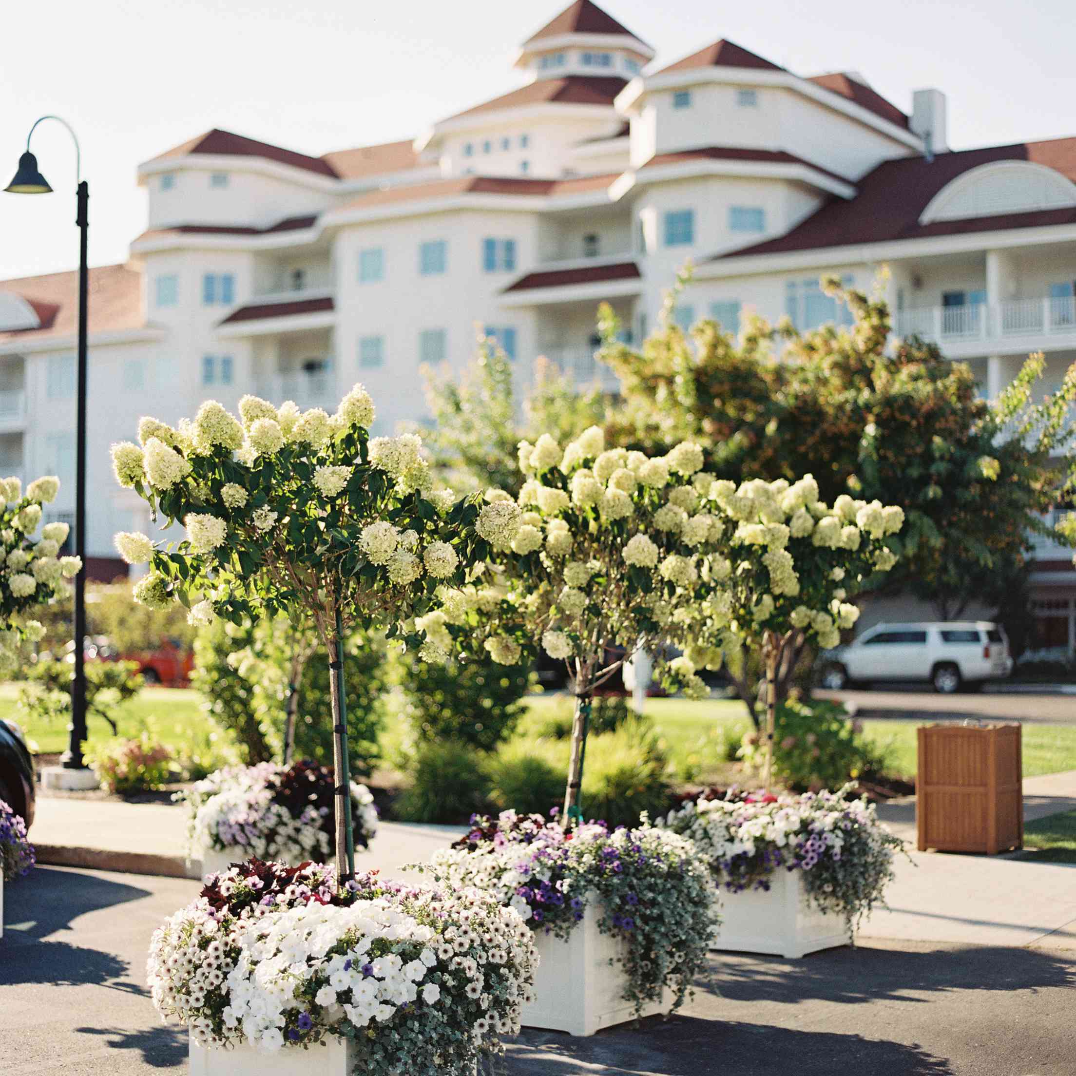 带花的海滨别墅