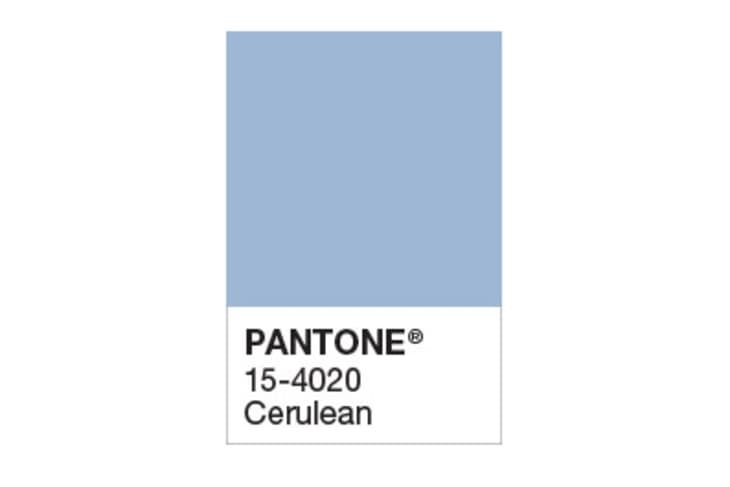 Cerulean Pantone.