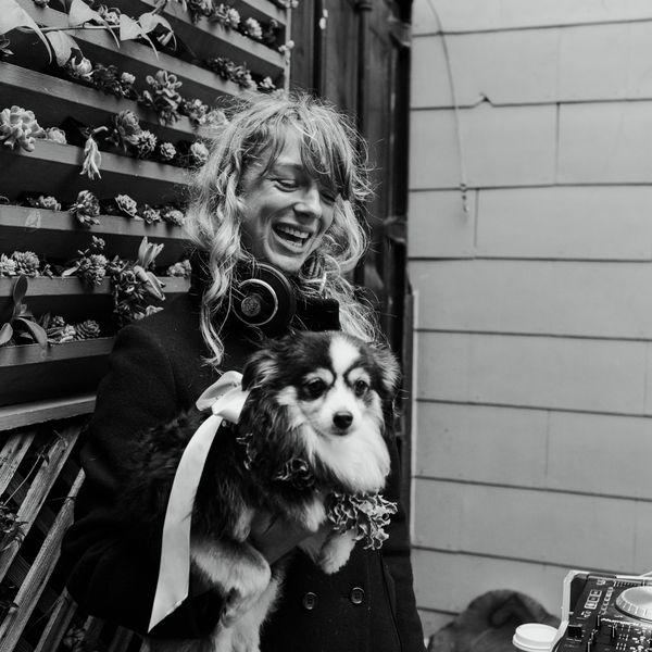 <p>狗与嘉宾</ p>