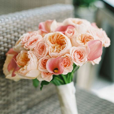 海芋花束桃，朱丽叶花园的玫瑰花，玫瑰花喷