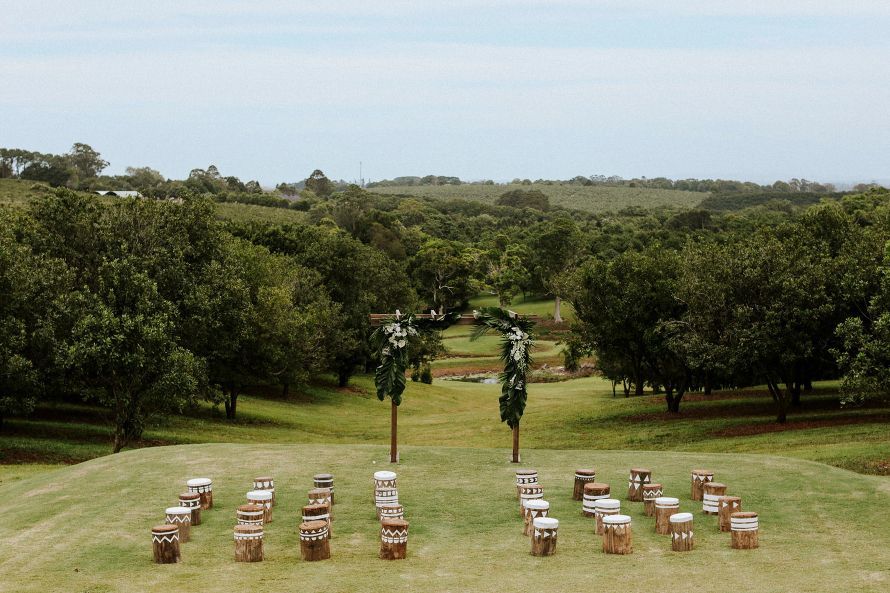 涂有部落图案的树桩