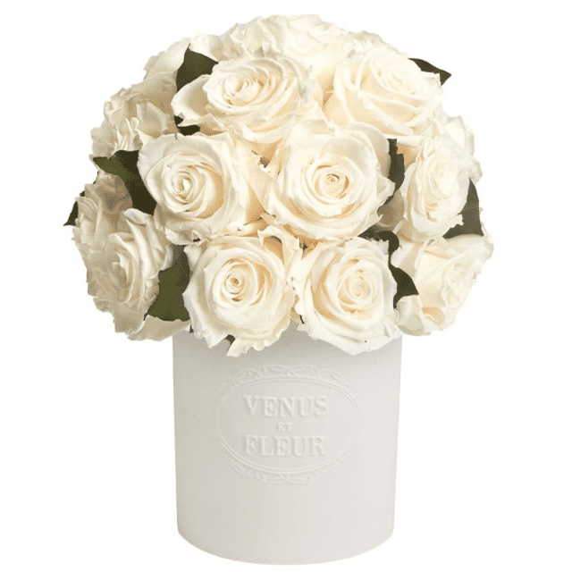 有永恒玫瑰和永恒Hedera叶子的花瓶