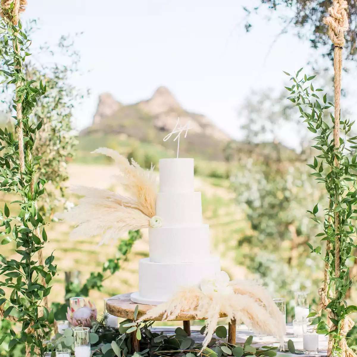 绿色植物环绕的白色婚礼蛋糕