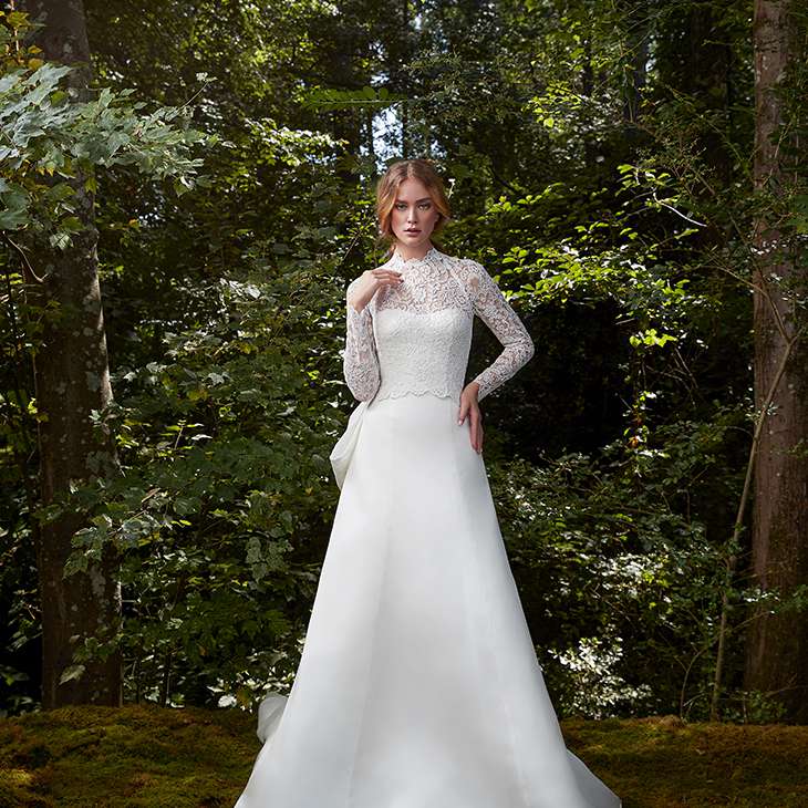 安妮驳船荣耀与上衣