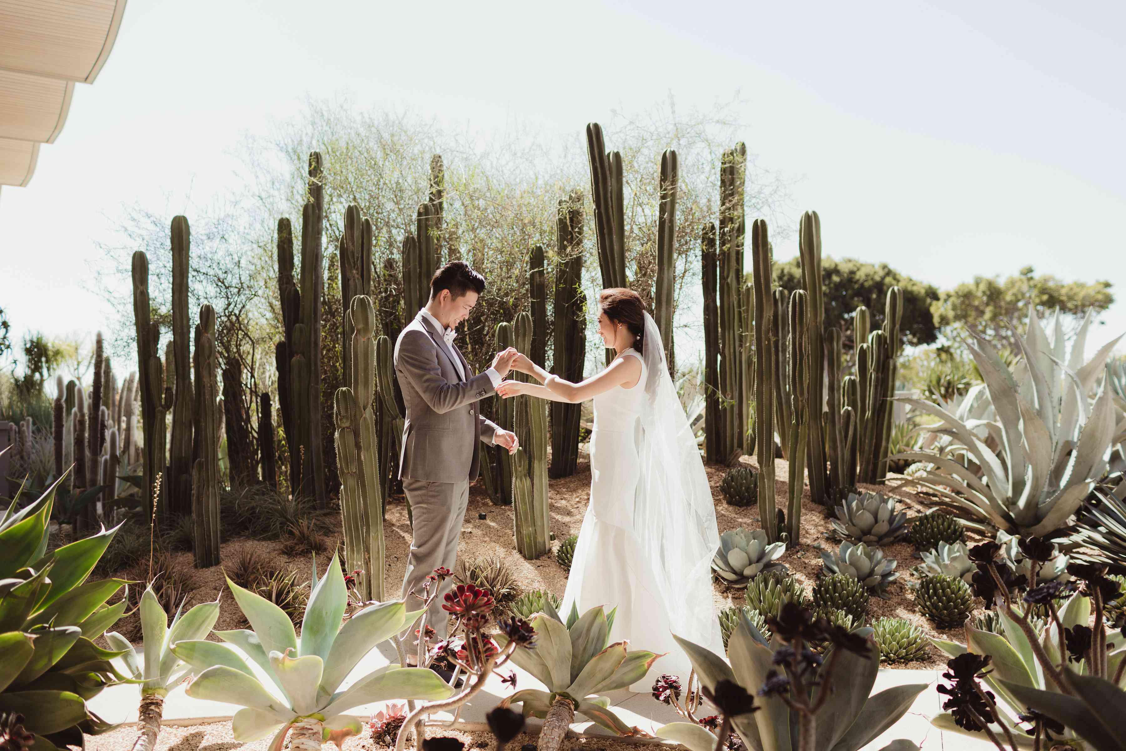 新娘和新郎在仙人掌附近