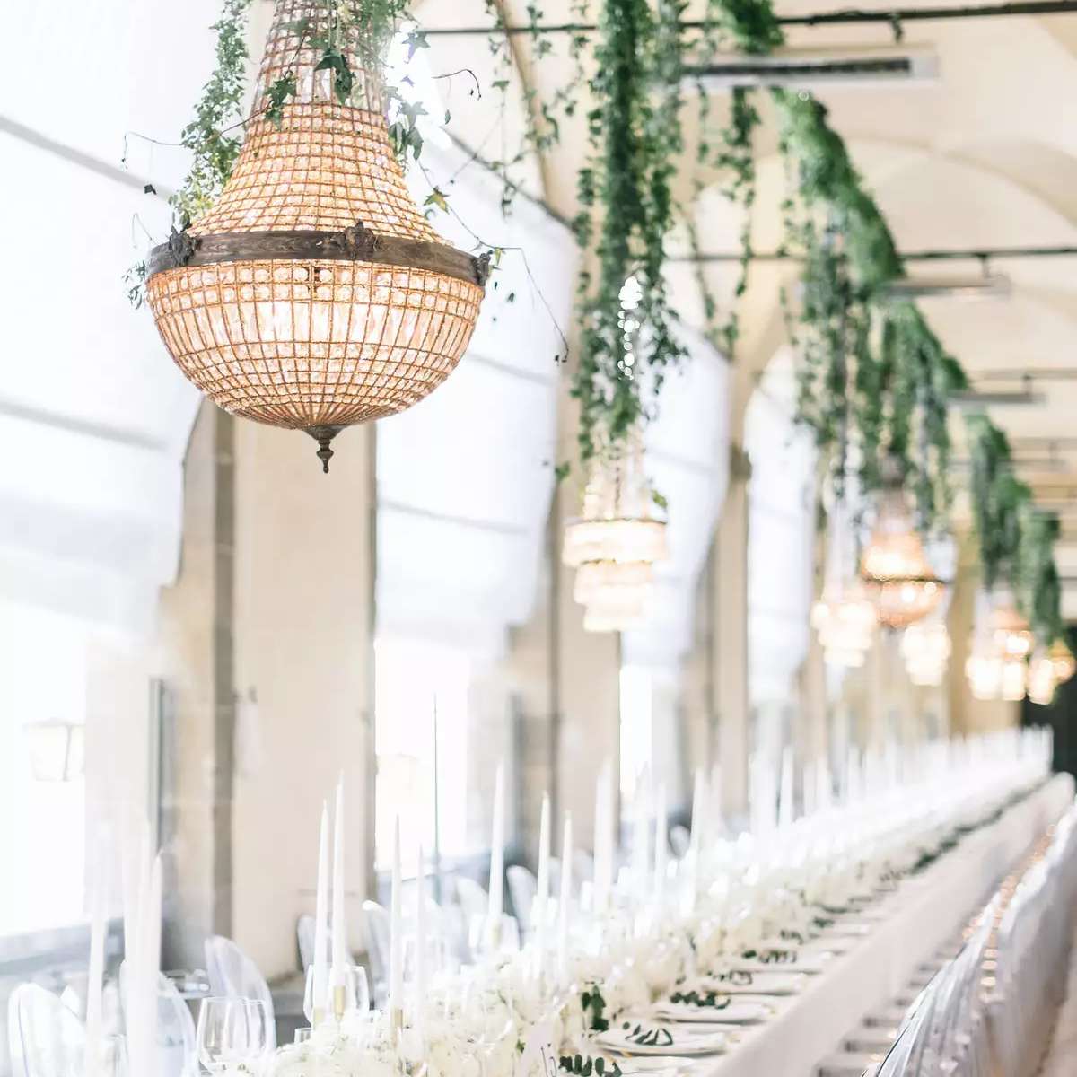 中性吊灯与绿色植物