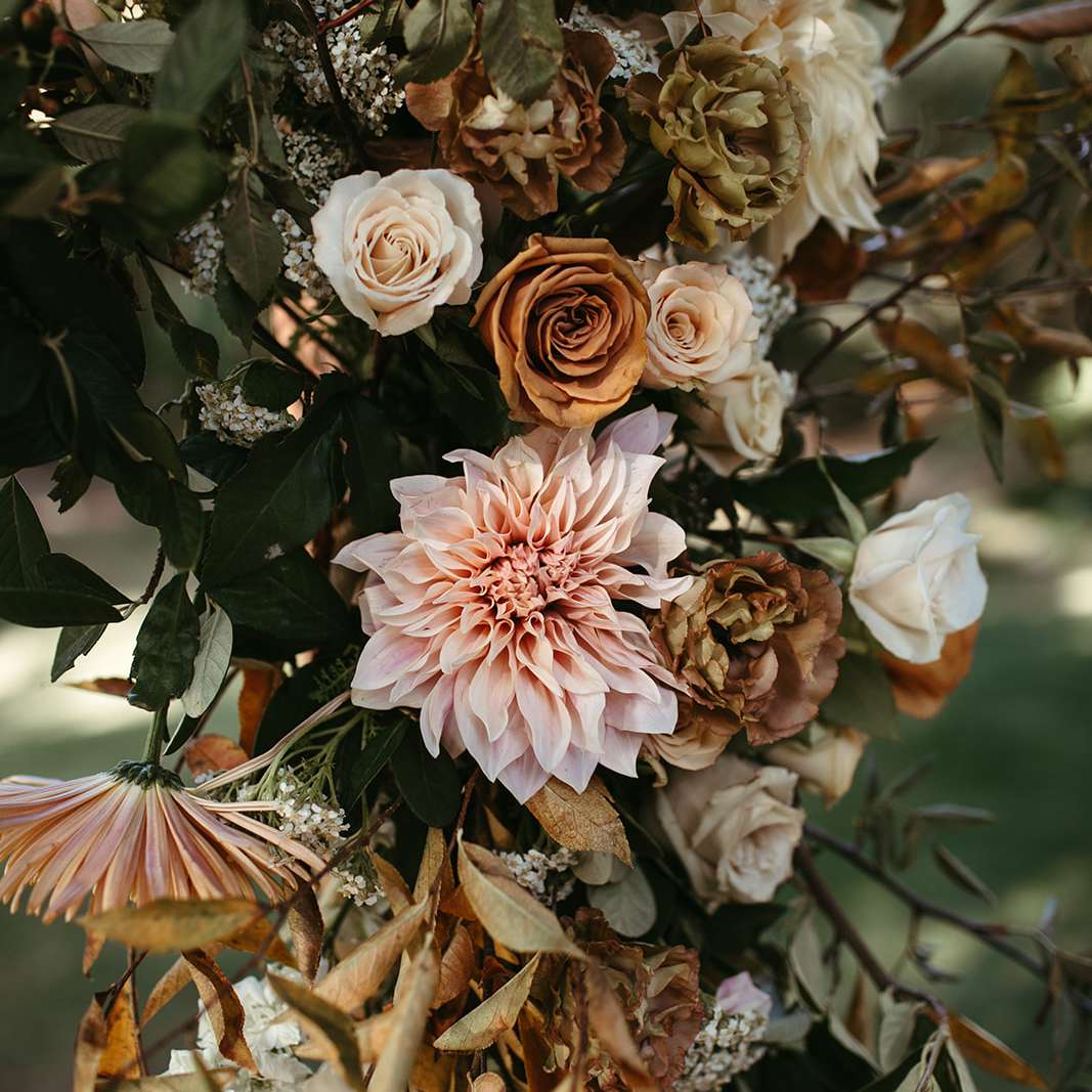 坛上的花”class=