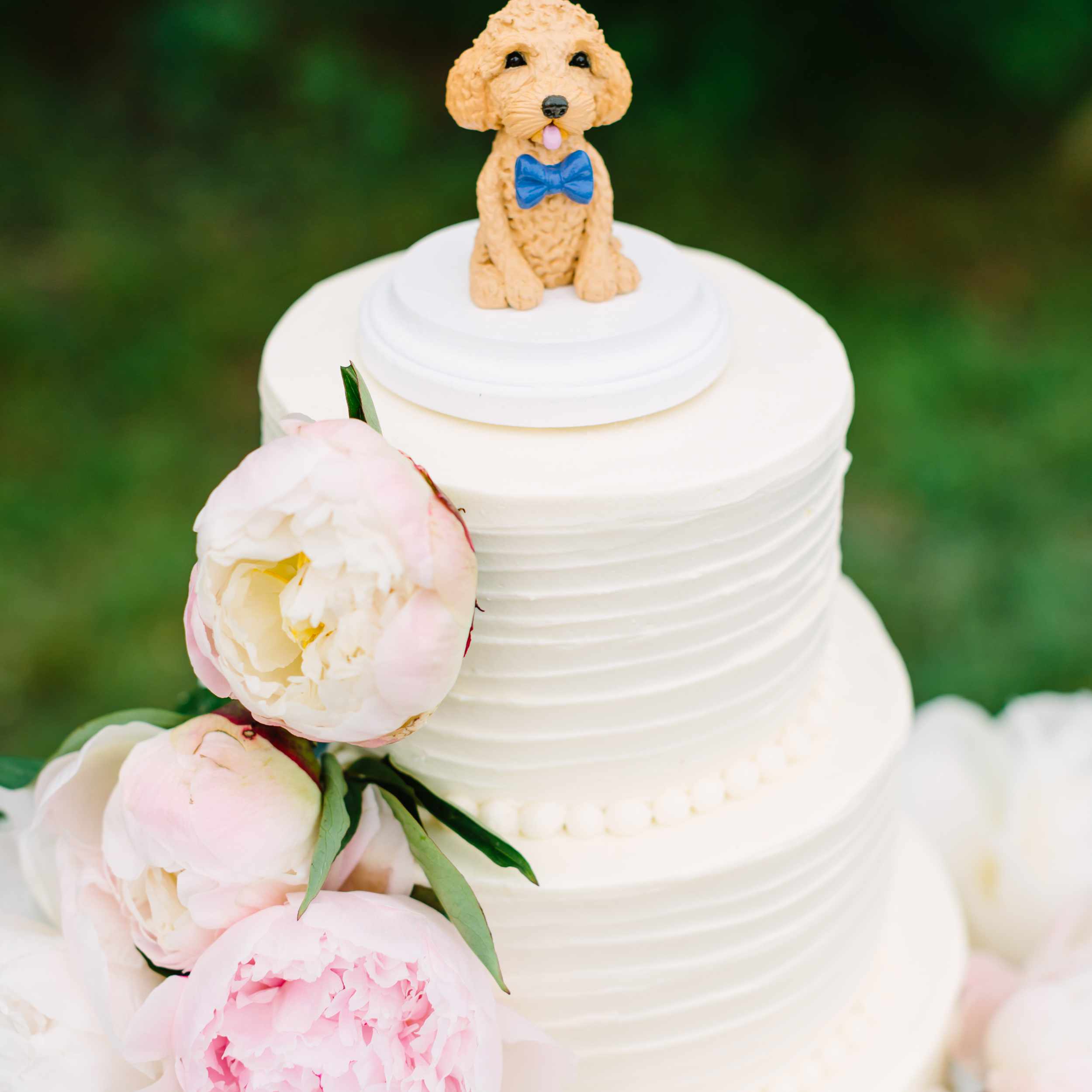 狗狗装饰的婚礼蛋糕