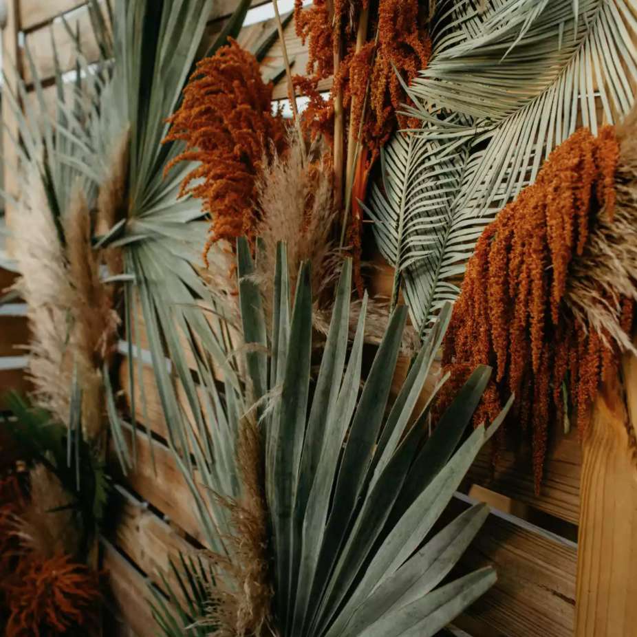 干棕榈叶和干花的背景