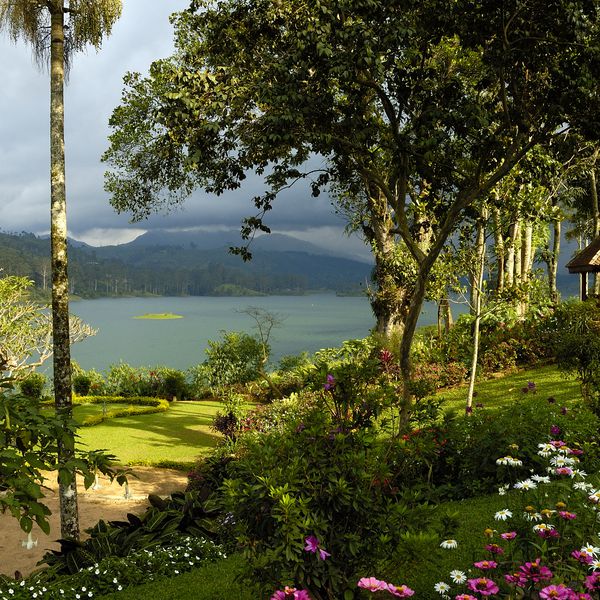 <P>卡斯尔雷平房在茶小径，在斯里兰卡度假</ P>”class=