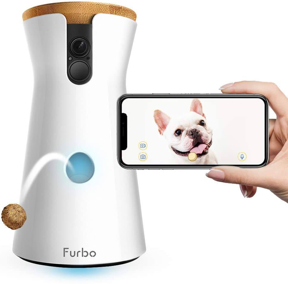 furbo-camera