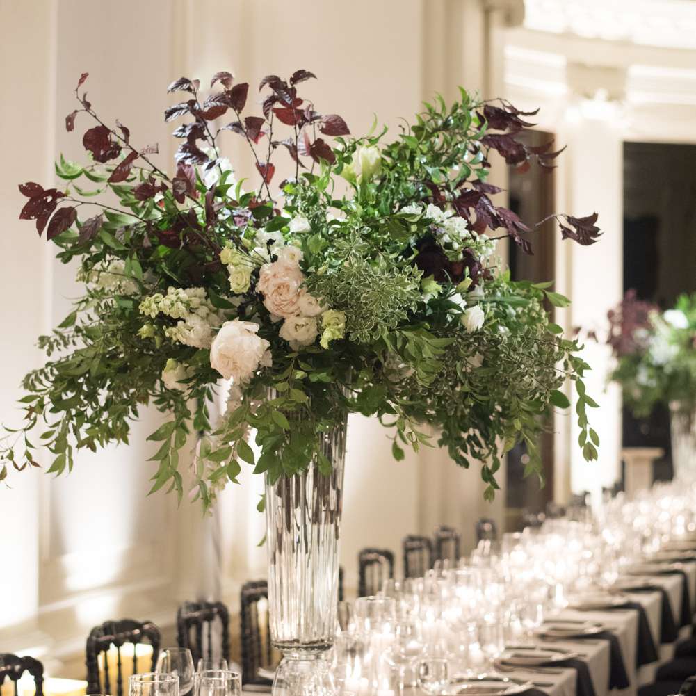 高大的花卉中心，郁郁葱葱的绿色植物和牡丹