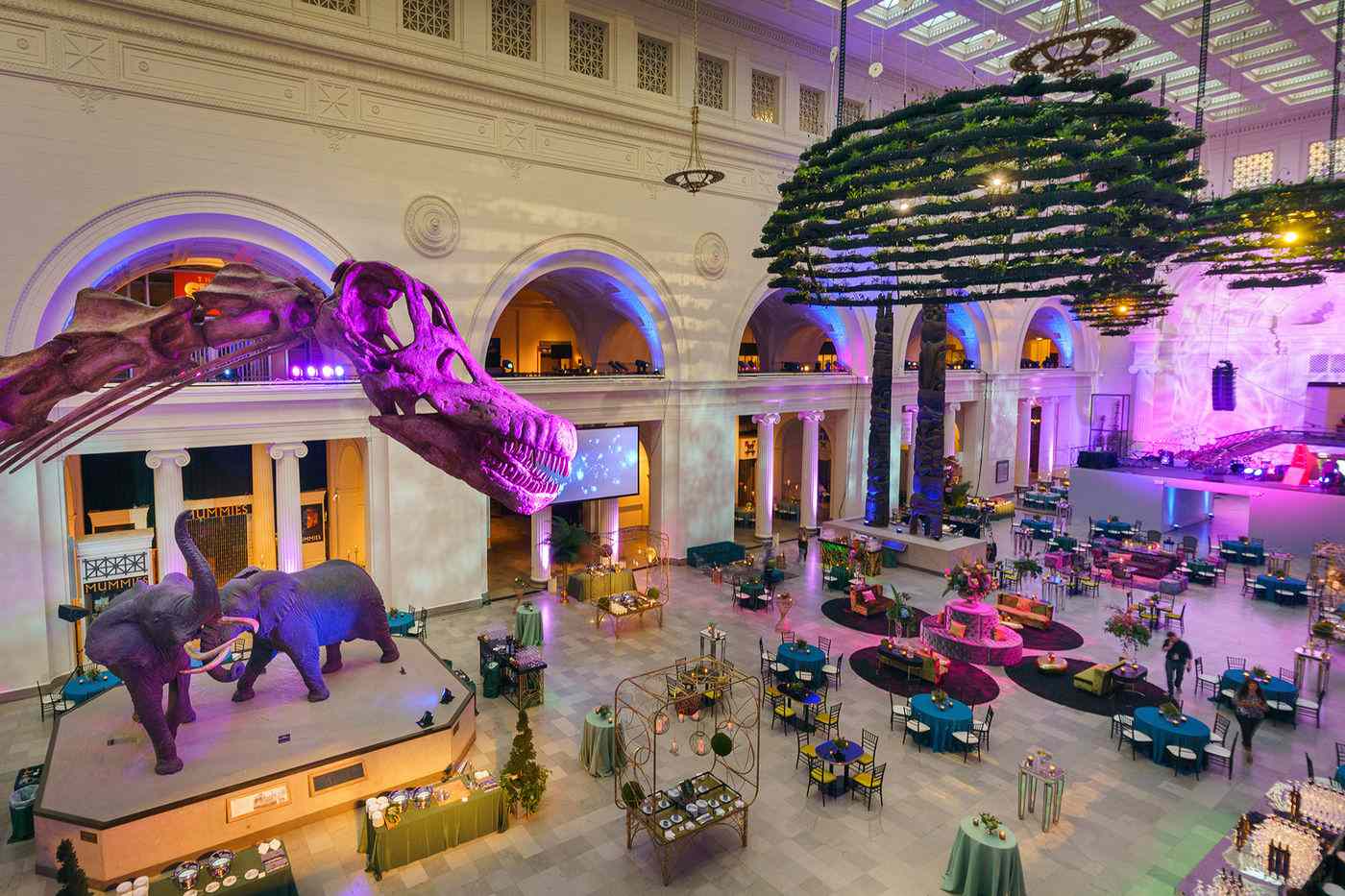 芝加哥的菲尔德博物馆